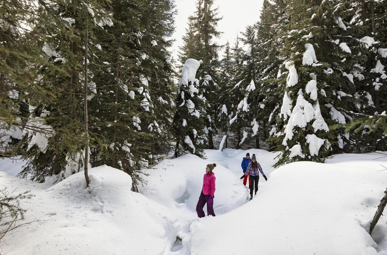 Holiday Home Sun Peaks Εξωτερικό φωτογραφία